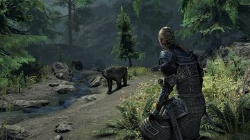 Immagine -8 del gioco The Elder Scrolls Online: Greymoor per Xbox One